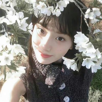 我的新拍档